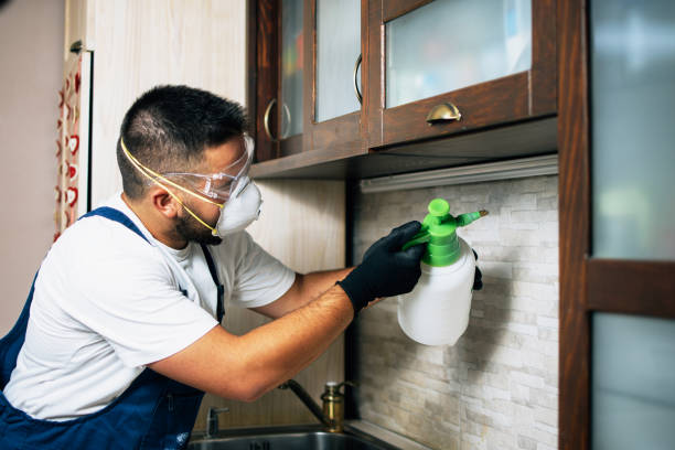Best Rat Extermination Near Me  in Vinton, VA