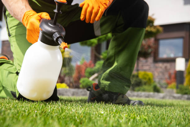 Best Affordable Pest Control Services  in Vinton, VA