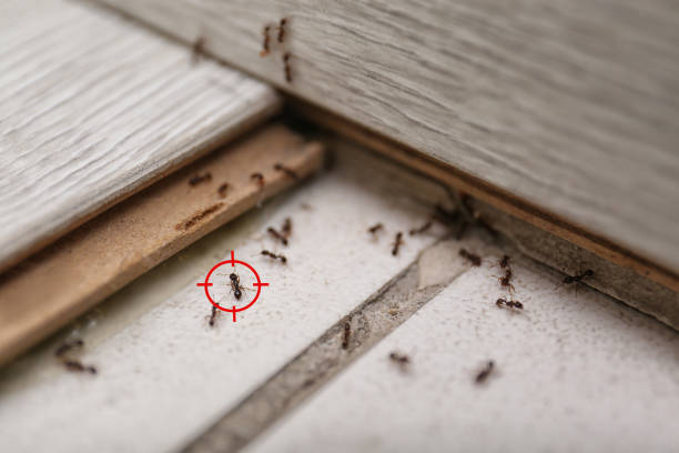 Best Commercial Pest Control Services  in Vinton, VA
