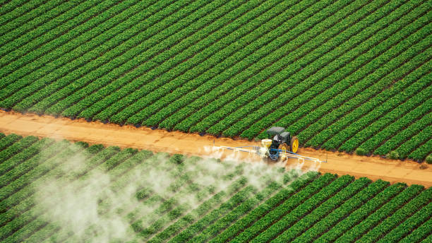 Best Wasp Removal Services  in Vinton, VA