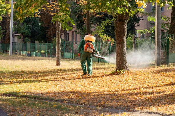 Vinton, VA Pest Control Company