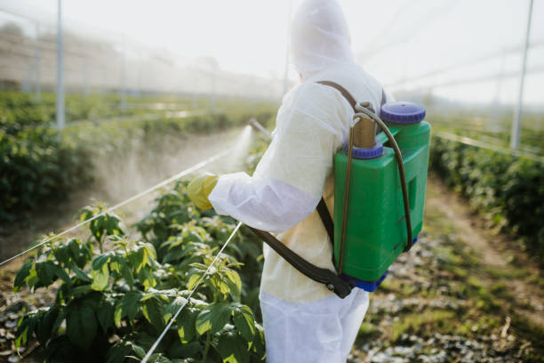 Best Best Pest Control Companies  in Vinton, VA